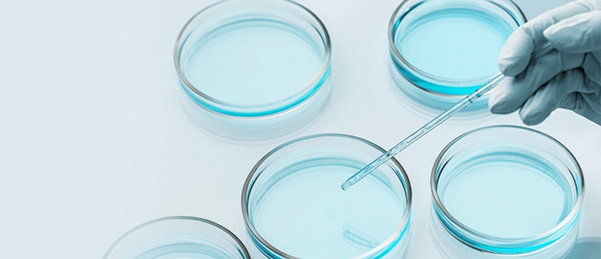 细胞培养基/液的组分分析