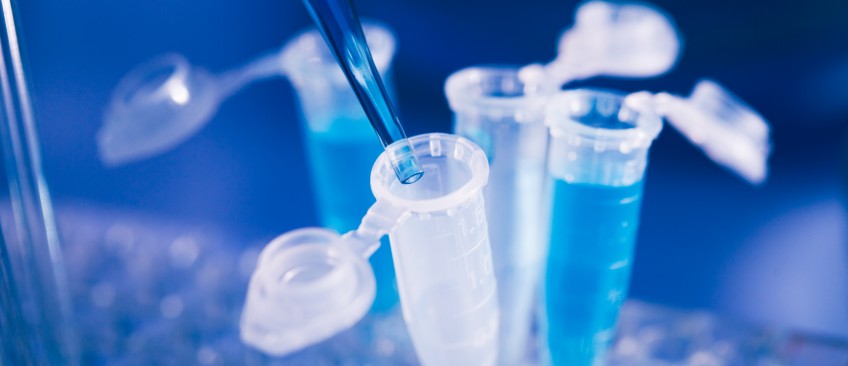 体外细胞毒性测试